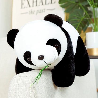 🐼 Peluche Panda